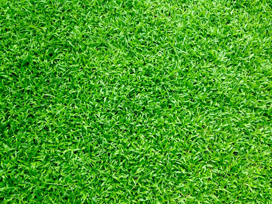 artificial turf