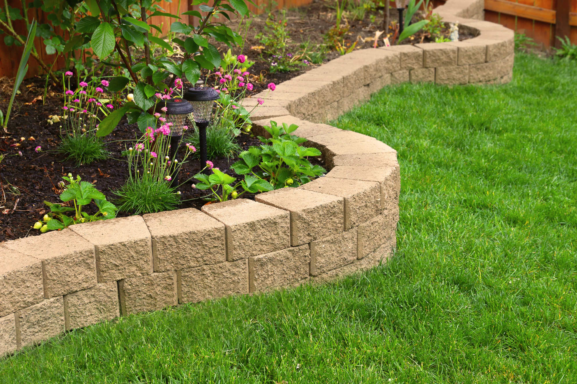 Curb Landscaping