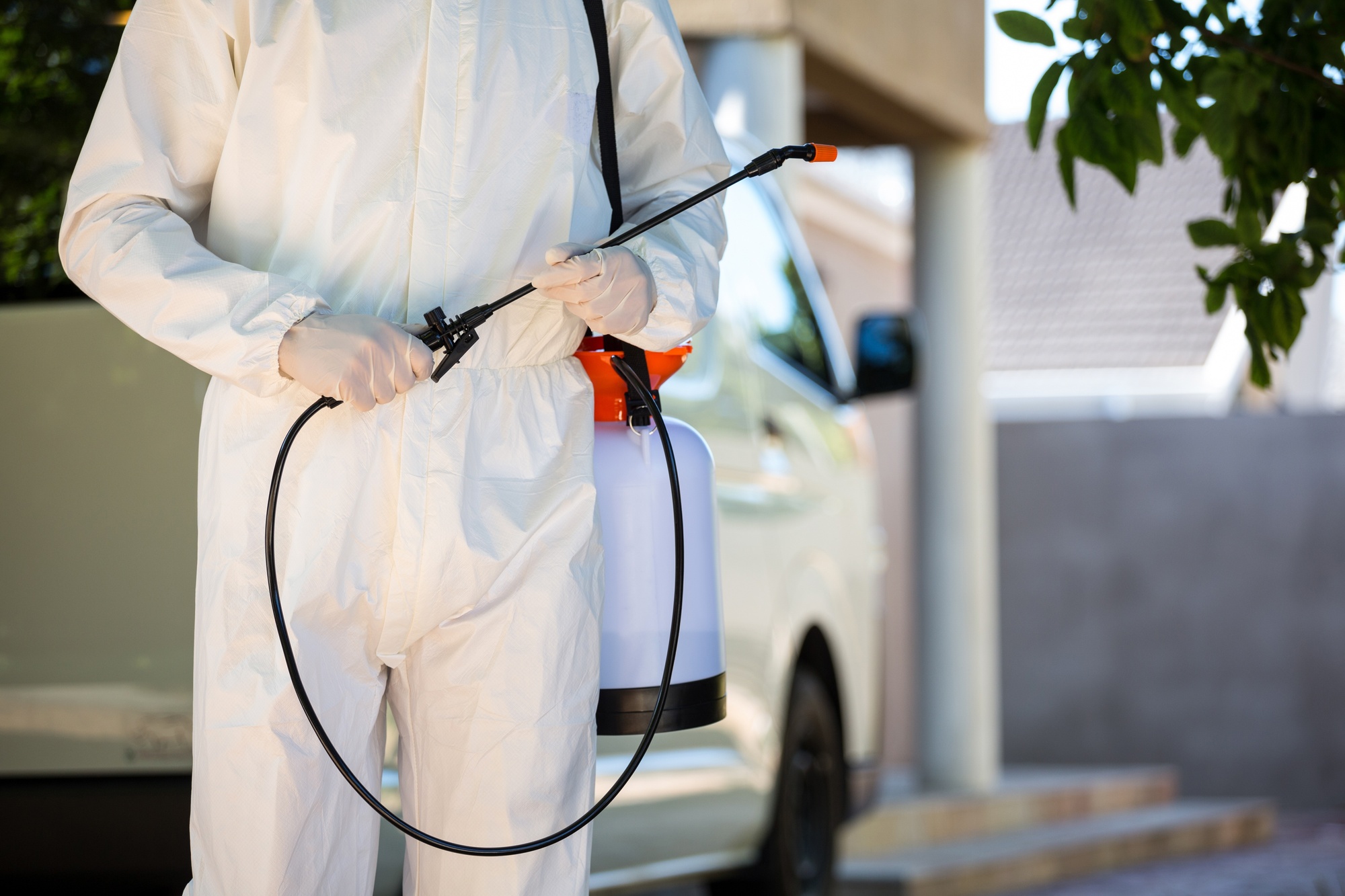 Hiring a Residential Pest Control Company